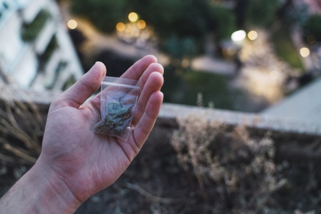 Young man with cannabis in hand